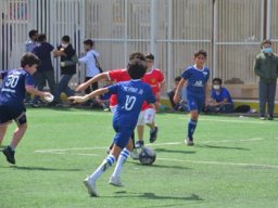 MIS Sports